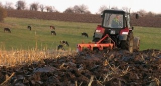 Фонд Земеделие: От 20 януари ще започне изплащането на субсидиите за хектар обработваема площ