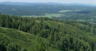 В Плевенска и Ловешка област работят 47 частно практикуващи лесовъди
