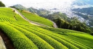 Япония планира да построи футуристична ферма