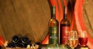 В Хасково разясниха програмата за подпомагане на лозаро-винарския сектор