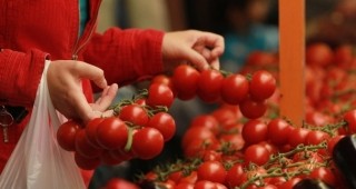 Земеделски производители от община Пазарджик настояват за промяна в Закона за стоковите борси и тържищата