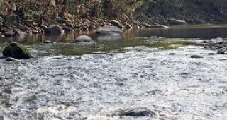 Спада нивото на река Тунджа край Елхово