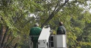 Електронен кадастър на дървесната растителност в община Бургас