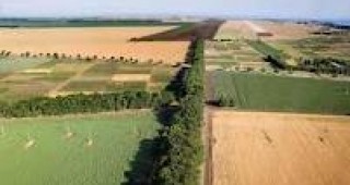Мярка 141 от ПРСР дава възможност да се възроди средното и дребното земеделско производство в Добруджа