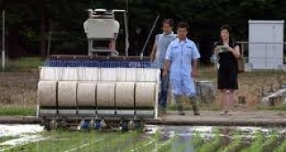 Създават автоматизирани и екологично чисти ферми в Япония