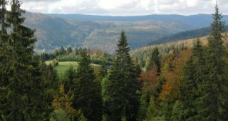 Добри практики при управлението на горското стопанство ще представят експерти от РДГ - София пред сръбските си колеги