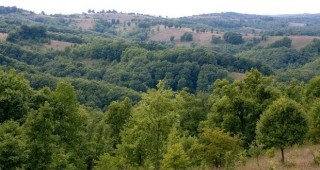 Семинар за популяризиране на горските мерки по ПРСР ще се проведе във Велинград