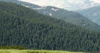Семинар за популяризиране на горските мерки по ПРСР