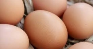 Цените на яйцата остават сравнително стабилни