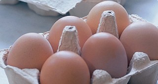 Без промяна остават средните цени на яйцата