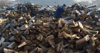 Общата наличност от дърва за огрев в складовете за търговия в страната е 53 237 куб. м