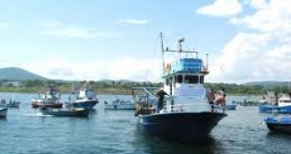 Одобриха списъка на риболовните кораби, които ще участват в усвояването на квотата за калкан през 2012 г.