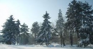 Ще вали сняг, в крайните южни райони и в Източна България дъжд
