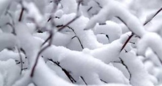 Оранжев код за опасност от снеговалежи и вятър е въведен в Северна България