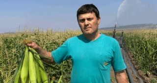 Европейските фондове и субсидии не облагодетелстват зеленчукопроизводителите