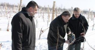 Мирослав Найденов: Експортът на българско вино бележи ръст