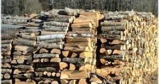 В пъти е нараснало търсенето на дърва за огрев