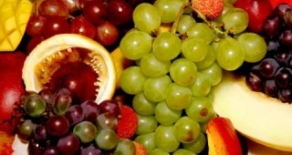 Екстракт от грозде срещу рак на кръвта