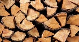 Първа сесия на Софийската стокова борса за продажба на дървесина