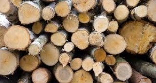 В Сливенско задържаха незаконно превозвани дърва за огрев