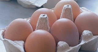 Наблюдава се леко покачване на средните цени на яйцата