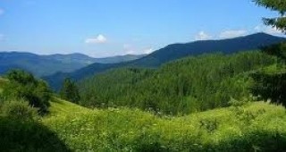 В Батак ще се проведе семинар по горските мерки от ПРСР