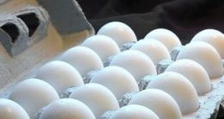 Внасяните в Европейския съюз яйца вече се проверяват за салмонела