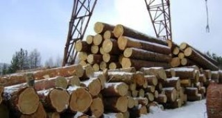 Фирми от дърводобивната промишленост излизат на протест в София