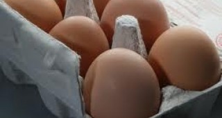 Едуард Стойчев: Цената на яйцата в момента не е пазарна