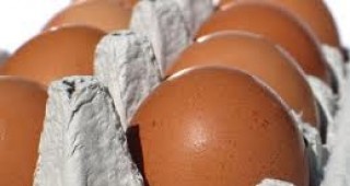 АЗПБ: Ще направим всичко възможно да задържим цените на яйцата
