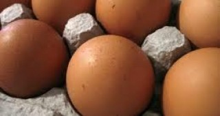 Спрените от внос полски яйца в България отговарят на европейските изисквания