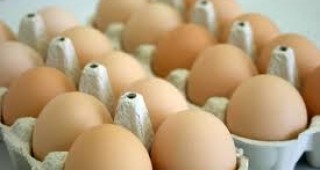 Полша ще достави яйца на българския пазар