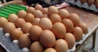 Яйца на невероятно ниска цена станаха хит на кооперативния пазар в Мездра