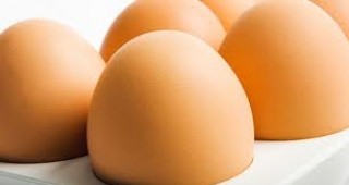 Заради силно увеличените цени на яйцата германските производители очакват милиони загуби