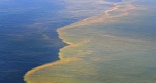 Еколози откриха нефтено петно по крайбрежието на Червено море