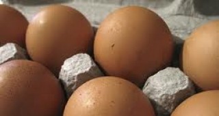 Осуетиха опит за внос на евтини сръбски яйца