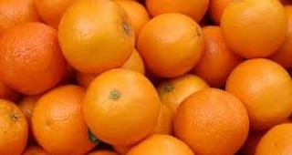 Превръщат оранжевите портокали в червени чрез промяна на гените