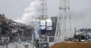 Радиоактивните частици, изхвърлени при аварията в АЕЦ Фукушима-1, са проникнали в почвата