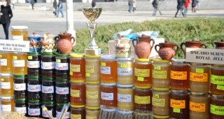 Расте интересът към Пчеломания в Добрич
