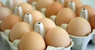 Производителите на сладкарски изделия в ЕС са принудени да намалят производството си заради недостига на яйца