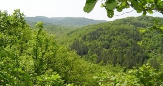 Във Варна отбелязват Седмицата на гората