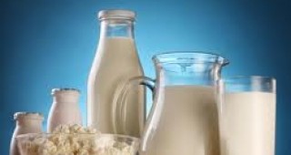 Българският пазар е залят с фалшиви млечни продукти