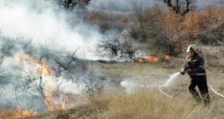 От началото на годината в област Смолян са изгорели 15 декара смесена гора