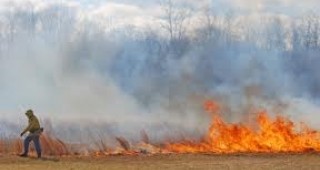 492 пожара са регистрирани от началото на годината във Великотърновско