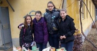 Шестокласници помагат на животните от приюта за кучета в Стара Загора