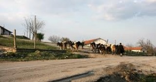 България е втора по спад на населението в селски области в Европейския съюз