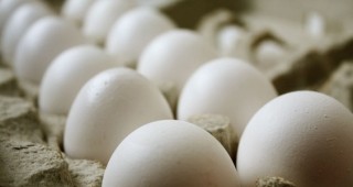 Средните цени на едро и на дребно на яйца за страната отбелязват понижение спрямо предходната седмица