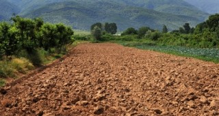 През изминалата 2011 г. у нас са подадени близо 50 хил. заявления за спорни земеделски площи