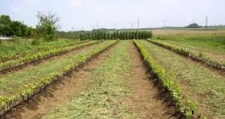 Изграждат екоселище в района на Института по земеделие и семезнание край Русе