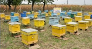 На 6 април започва нов прием на заявления за пчелари-проверители